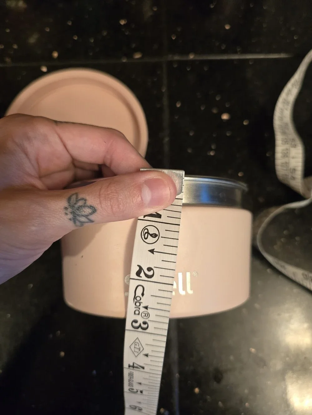 S'Well Food Canister 16 Ounces Pink